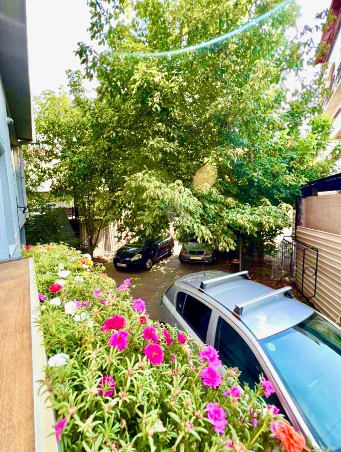 Lifestyle Gallery Apartment Skopje Exterior photo